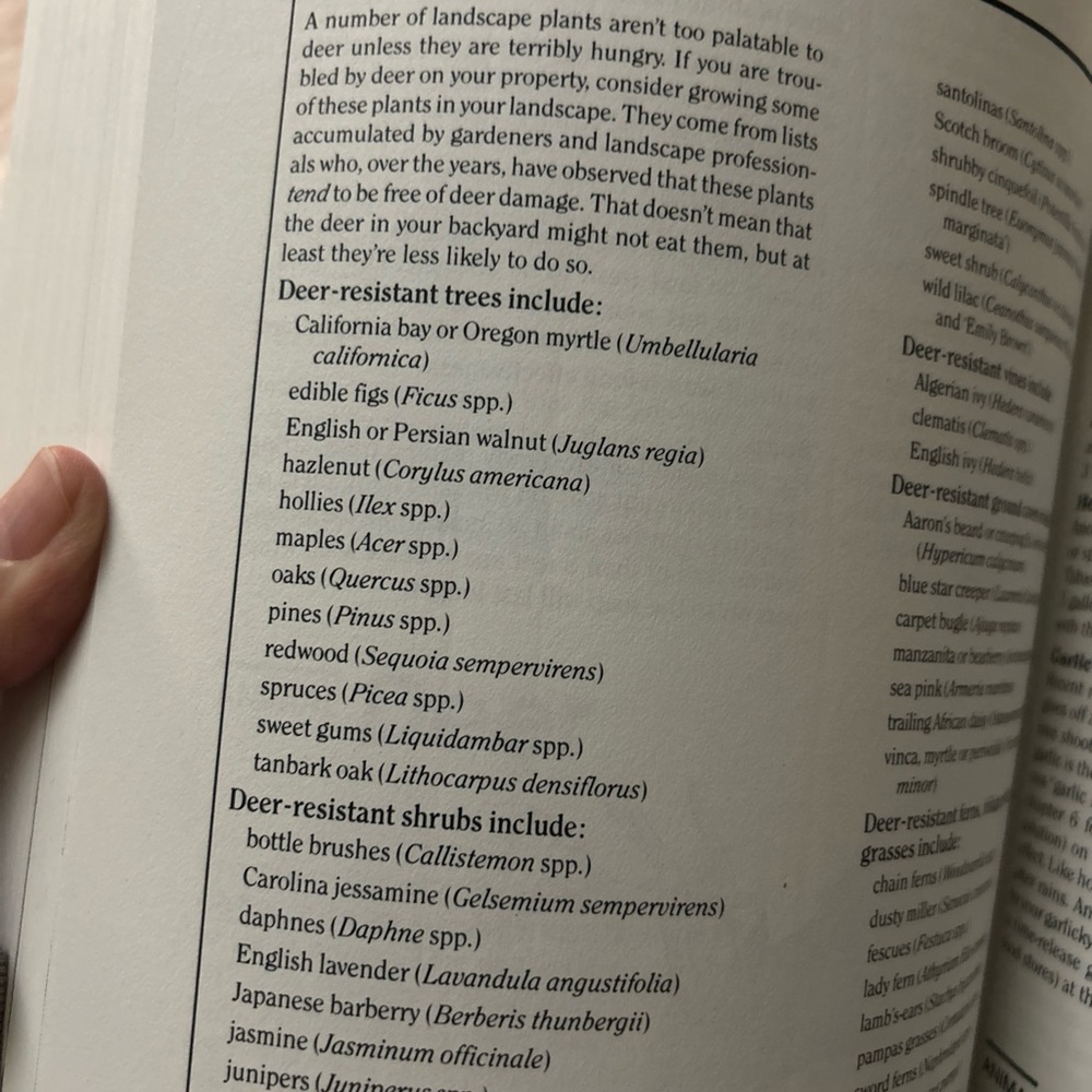 Rodale’s Landscape Problem Solver Guide - Picture 4 of 9